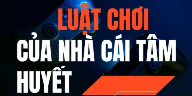 Chấp hành đúng luật tránh bị phạt