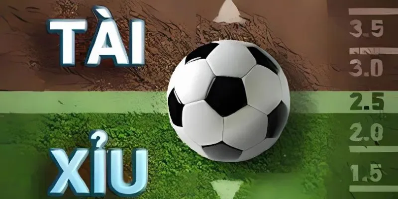 Cược Tài - Xỉu dễ chơi cho tân thủ