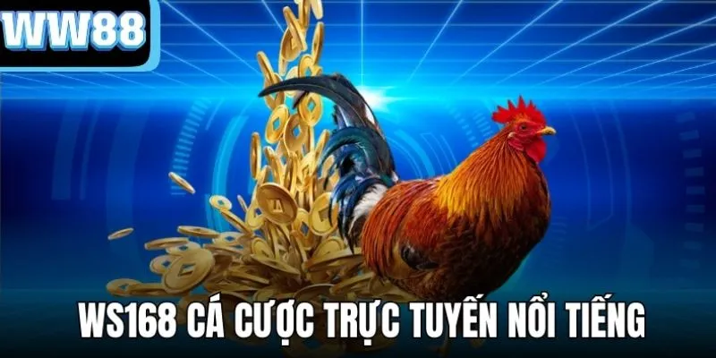 Đấu gà truyền thống vẫn còn được ưa chuộng